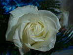 DSC01431
