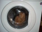 DSC01477