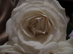 DSC01796