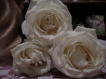 DSC01795