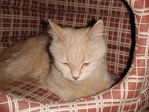 DSC01425