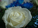 DSC01436