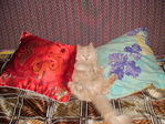 DSC01767