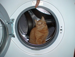 DSC01480