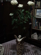 DSC01790