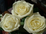 DSC01776