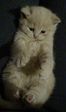 DSC00623.JPG