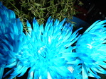 DSC01433