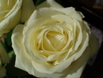 DSC01777