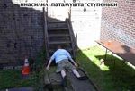 post-19-1148479840