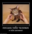 920666_pizdets-tebe-chelovek