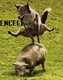 gLct6rRmc8ppbyhsEYZIhAHzJpXeueLgN5ggydBcV0bA