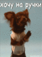 U5rgrdqYIkFbzdQfo7928g84FiwMpD6Q4S0mAjhTKVWQ.gif