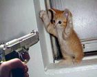 CndVGc3ohsxsIbhSSwyreQtChv0Xb4WDykuSgaLvrY5Q