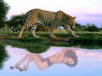V5Lsp1XAU2YyV31nhkdrA96mvqTJGuUdUT9LZnIvtQ