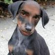 odVkMMxm1OFs4pwsHULNAagkFYRhJSlKhEw1fUGQ
