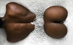 jKTLPGVLcMMknzjJgtlCGwbaZCtRBlsKT8ew1brEIGeQ
