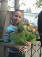 опия DSC00572