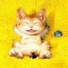 0JWYt3wAlw1UfbHHhinLFQ2EV05Qa7mbxwTmXVM48g[1].jpg