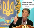 img_11034498_446_0