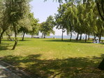 15082010008