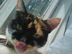 DSC00823!!!.JPG