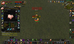 WoWScrnShot_051310_192929