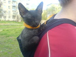DSC04257