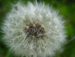 IMG_5630