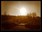 IMG_4441