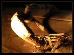 IMG_4618