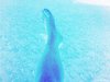 x_4add217d[1]