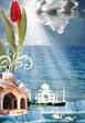 images[18]