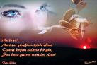images[61]