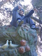 DSC00002
