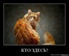 g3o2lujkxo1t