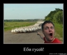 483dbvl9t2ew