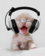 Disc Jokey