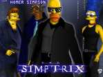 Simpsons + Matrix = SimTrix