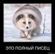 IMG-a726f0a86eb6c999bbced9a5ba73c90e-V