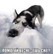 IMG-d157eed1f7e6f159cd9e86ddb605ae51-V