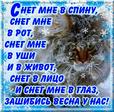 IMG-1e691911a075b2eb1756c4db461fcdd5-V