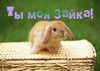 Эх... ну какой же он милый...