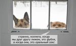 Секас )