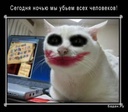Бойсо!