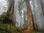 Nature_29.jpg