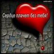 мой мир