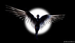 3rvZ1dkR1s1hB3hn5GoHuwY8p8TvS70fX6ppoKAooM8A