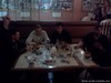 IMG163