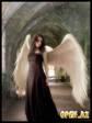 1216332070_photoart123